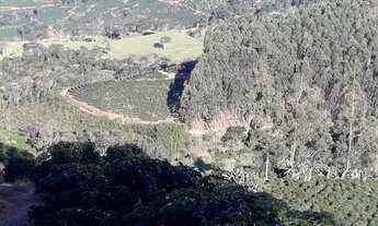 Imagem 2: Propriedade em Simonésia MG