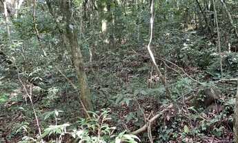 Imagem: 113767 - CHÁCARA COM 1,75 HA, FIBRA ÓTICA