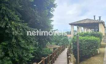 Imagem 2: Venda Apartamento 4 quartos Parque Bela Vista Salvador