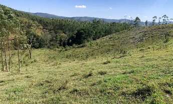 Imagem 4: Vende-se terreno com ótima localização em bairro rural