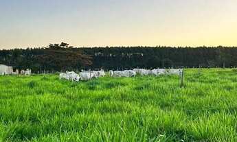 Imagem 3: Fazenda em Caraiva