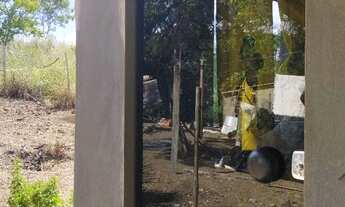 Imagem 4: Venda ou troca pego imóvel e veículo