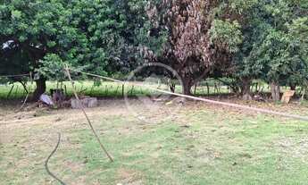 Imagem 7: Sitio em poconé com 16 ha com duas represas para criação de peixes codigo: 116857