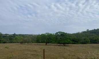 Imagem 4: Chácara de 20.000 m² toda cercada, com riacho nos fundos, Jaboticatubas