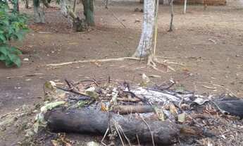 Imagem 2: /Lote com 800 M2 em Açutuba