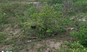 Imagem 2: Terreno na Estrada de São João Grande Feira de Santana / São Gonçalo
