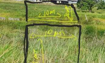 Imagem: Terreno na entrada do angelim