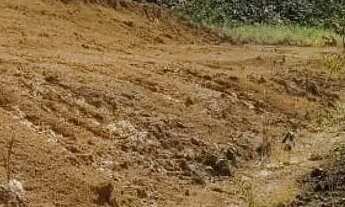 Imagem 4: Vendo terreno com 47ha para sítio na Rodovia Am 010 km 169