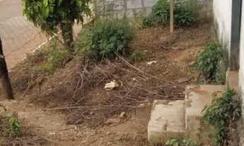 Imagem 2: Lota 560 m Felicio dos Santos