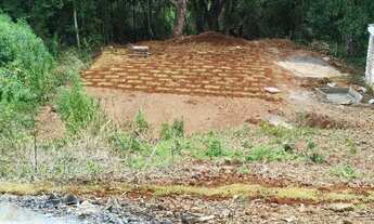 Imagem 4: Vendo lote no alagado em Três Barras do Paraná