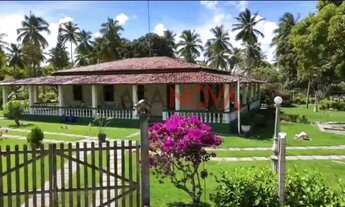 Imagem 7: Excelente Fazenda em Estância com 160 tarefas