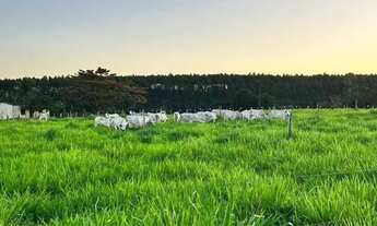 Imagem 5: Fazenda em Caraiva