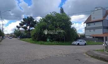 Imagem: Terreno no bairro Vila Maggi