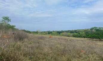 Imagem 7: Chácara de 20.000 m² toda cercada, com riacho nos fundos, Jaboticatubas