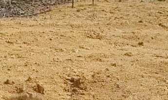 Imagem 5: Vendo terreno com 47ha para sítio na Rodovia Am 010 km 169