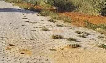 Imagem 3: Imóvel para venda com 1000 metros quadrados em São José do Almeida - Jaboticatubas - MG