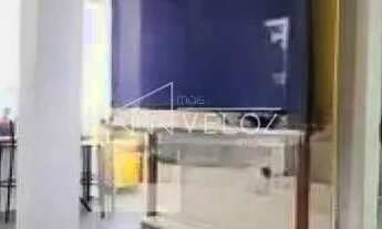 Imagem 6: Apartamento : / Residencial / Glória