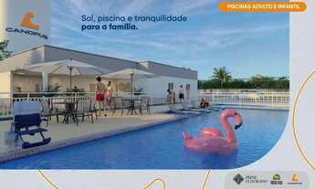 Imagem 4: TER 103 Imóvel para venda tem 43 metros quadrados com 2 quartos em Recanto Fialho - São