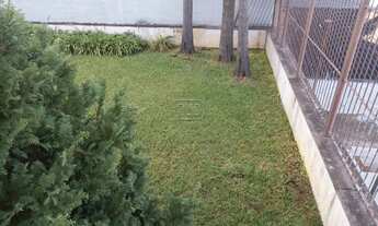 Imagem 3: Terreno,bairro Universitário