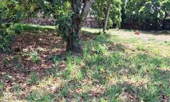 Imagem 6: OPORTUNIDADE ÚNICA!!!