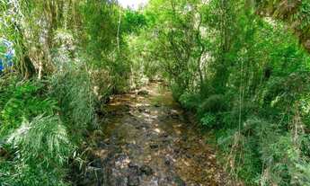 Imagem 2: Chácara com 899mil m² à venda em Campo Largo!