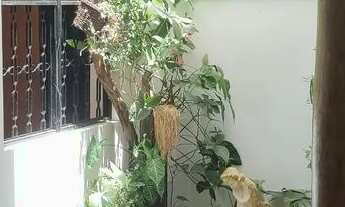 Imagem 5: ALUGA - SE CASA - VILA MARISTELA