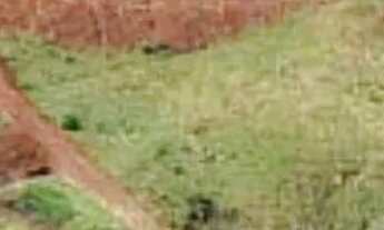 Imagem 7: Terreno à venda, 827 m² por R$ 165.000,00 - Barra Bonita - Três Barras do Paraná/PR