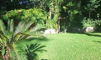 Imagem 2: Linda Casa na floresta