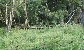 Imagem 6: Lote em Campos do Jordão - Vila Abernéssia - Campos do Jordão/SP