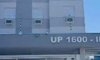 Imagem 5: Ribeirão Preto/SP - IPIRANGA