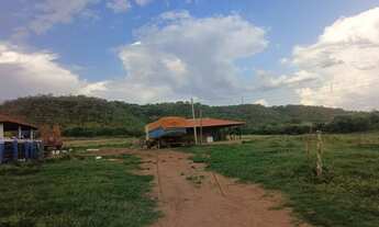 Imagem 2: Vendo 125 alqueires mineiro em Honorópolis(250 alq. Paulista