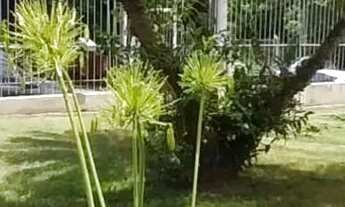 Imagem 7: Casa à venda em Nossa Senhora das Graças com 285 m², 4 quartos, 4 vagas