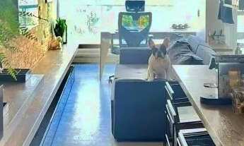 Imagem 4: Venda Apartamento 1 Dormitórios - 47 m² Consolação