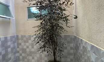 Imagem 4: Casa 225m² 3 Quartos 1 Suíte Área Goumert Bairro Conjunto Residencial Aruana I Goiânia