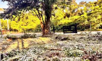 Imagem 7: CHÁCARA BEIRA RIO CUIABÁ - ROSÁRIO OESTE/MT