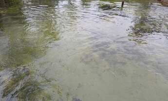 Imagem 2: Chácara Terreno / lote com venda por R$130.000