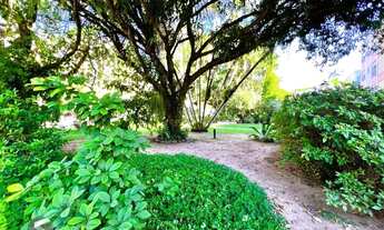 Imagem 6: Apartamento 2 dormitórios no Menino Deus