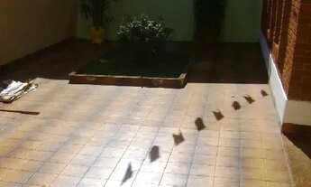 Imagem 3: Casa padrão, Bairro Bandeirantes zona leste de Ribeirão Preto SP