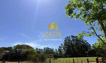 Imagem 4: CAUE IMOVEIS VENDE Belíssimo Sítio de 4,6 Hectares de Porteira Fechada em Águas Claras