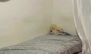 Imagem 5: Apartamento SF1 ( TEM CONVERSA