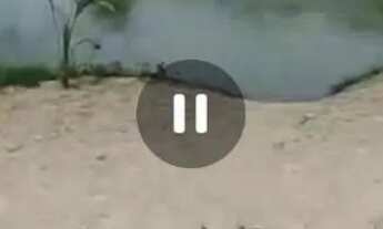 Imagem 6: Casa para alugar