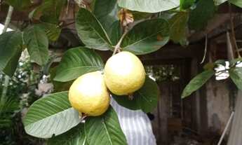 Imagem 5: Casa à Venda em Suzano R$ 400.000,00