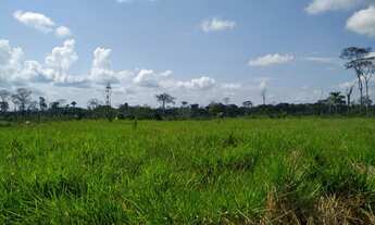 Imagem: Vendo colônia em Sena Madureira