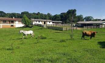 Imagem 2: Fazenda para criação de gado em Jaquirana/RS