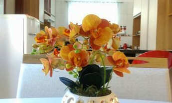 Imagem 4: Alugo casa mobiliada em Domingos Martins