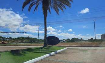 Imagem 6: Buena Vista Village 740mt *46