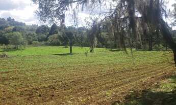 Imagem 7: Chácara pronta para morar em Urupema