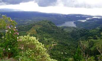 Imagem 4: Fazenda/Sítio/Chácara para venda