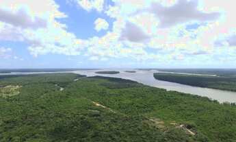 Imagem: 81 hectares em Curuça terra boa pra criar