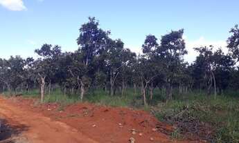 Imagem 7: Agora é a sua vez de ter sua Fazendinha de 20.000m². Últimas unidades em Cordisburgo